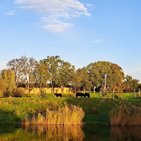Aquahome - - Bijzonder Overnachten Op Houseboat Aan De Afgedamde Maas